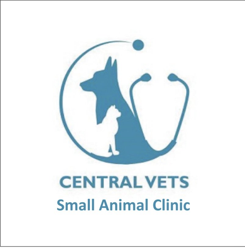 Partnership Logo