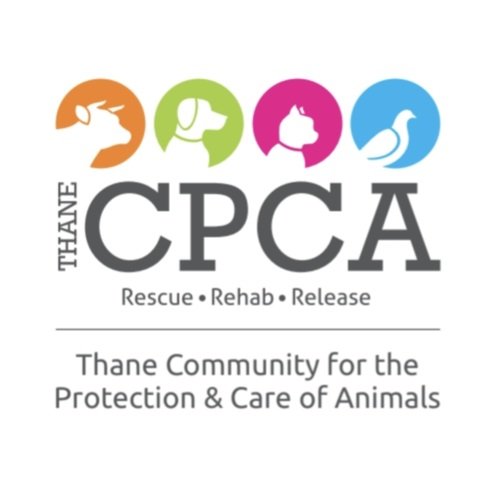 Partnership Logo