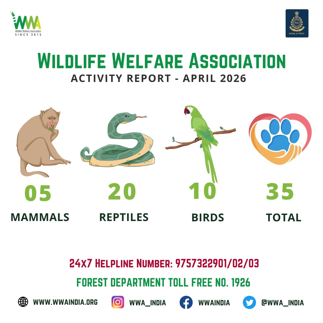 ACTIVITY REPORT FOR THE MONTH APRIL 2026

To continue our mission please support us..!

https://www.wwaindia.org/home/do