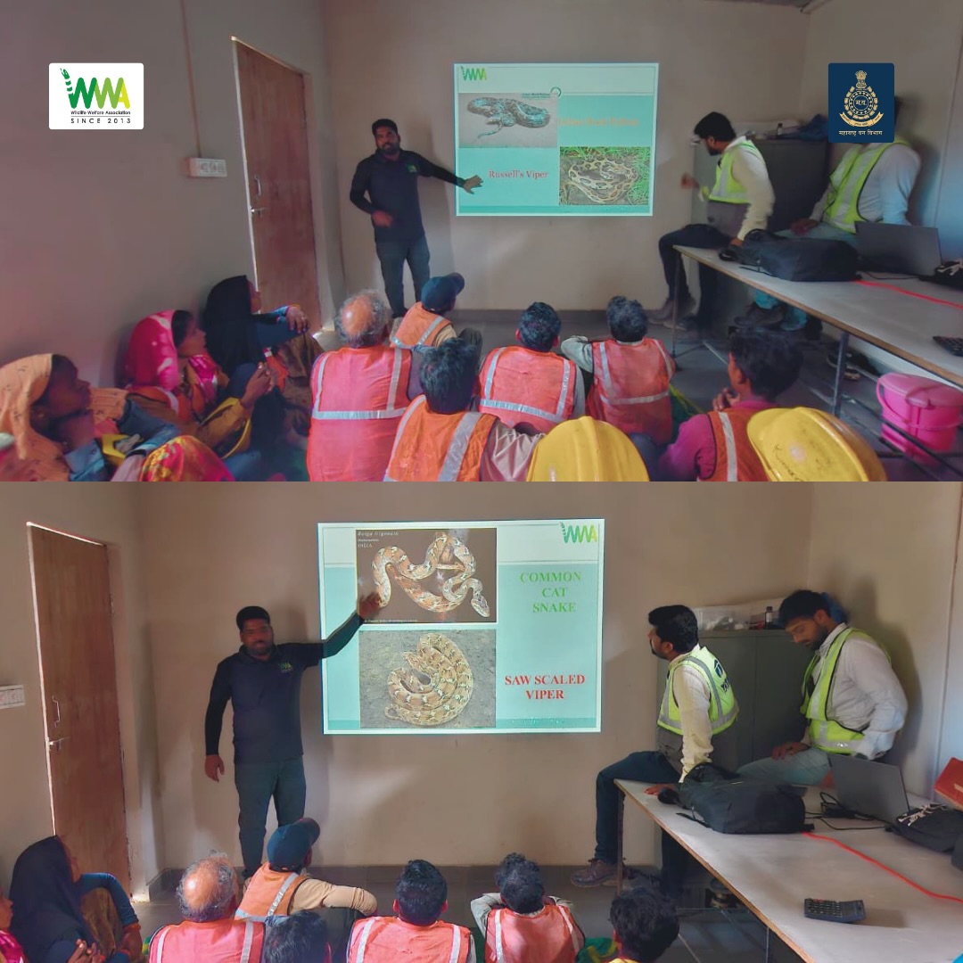 From Fear to Understanding: Wildlife Awareness session

On 6th April, Wildlife Welfare Association (WWA) conducted a wil